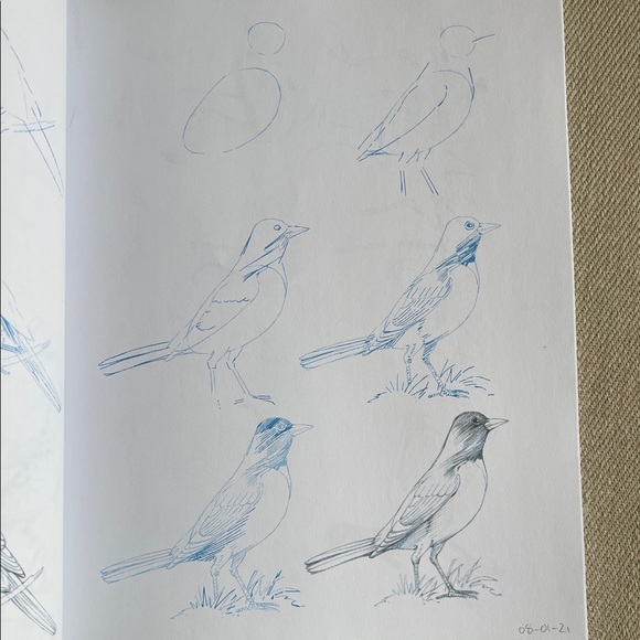 Draw 50 Birds | Lee J. Ames | Step-by-Step Drawing Guide | Softcover - Picture 4 of 8